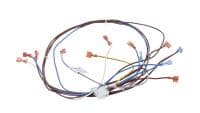 Rheem gas valve wiring harness