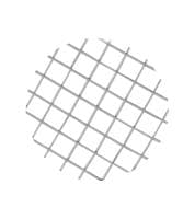 0_Photo of SP12163.DG.PNG