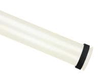 0_Photo of SP12559.DG.PNG