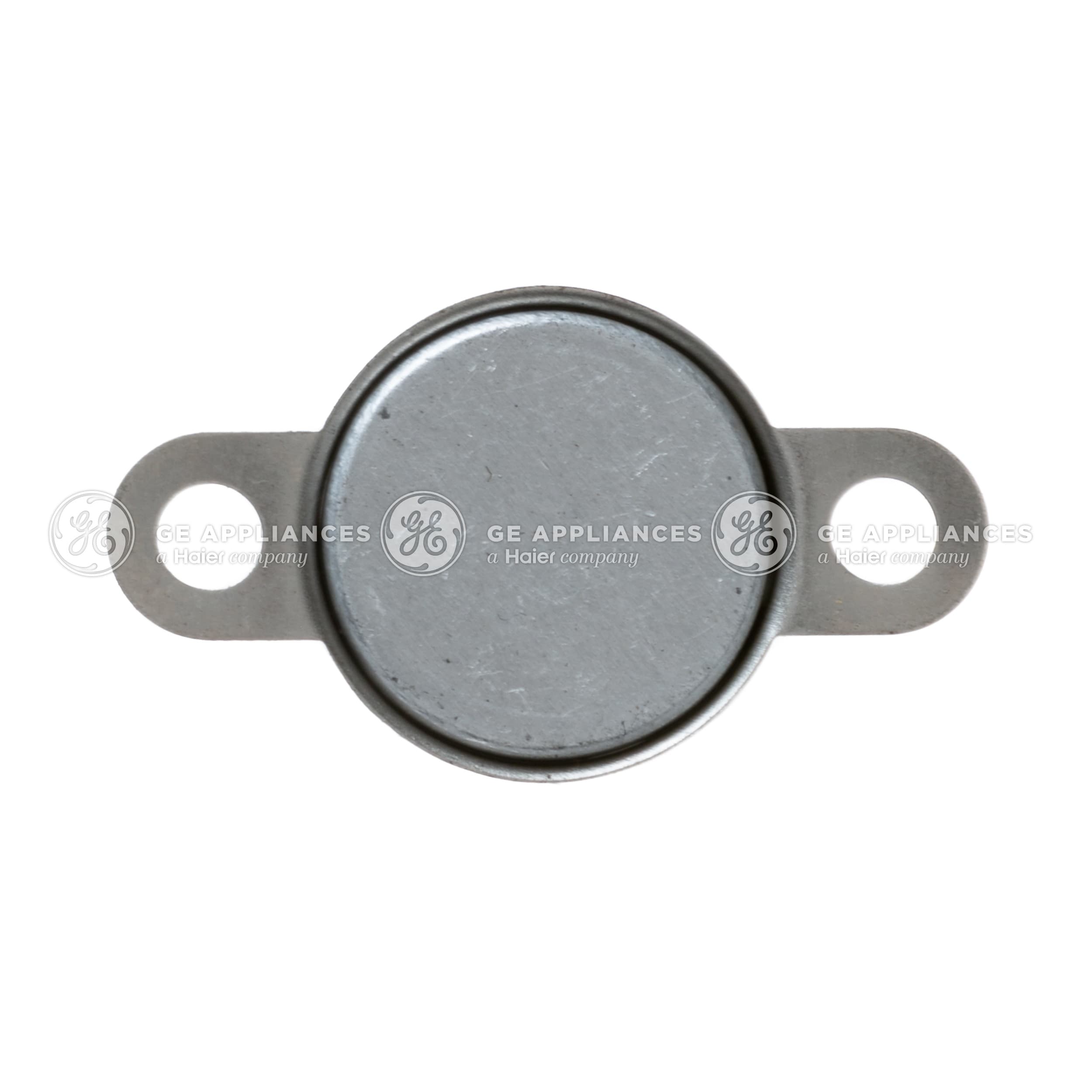 Door Thermistor