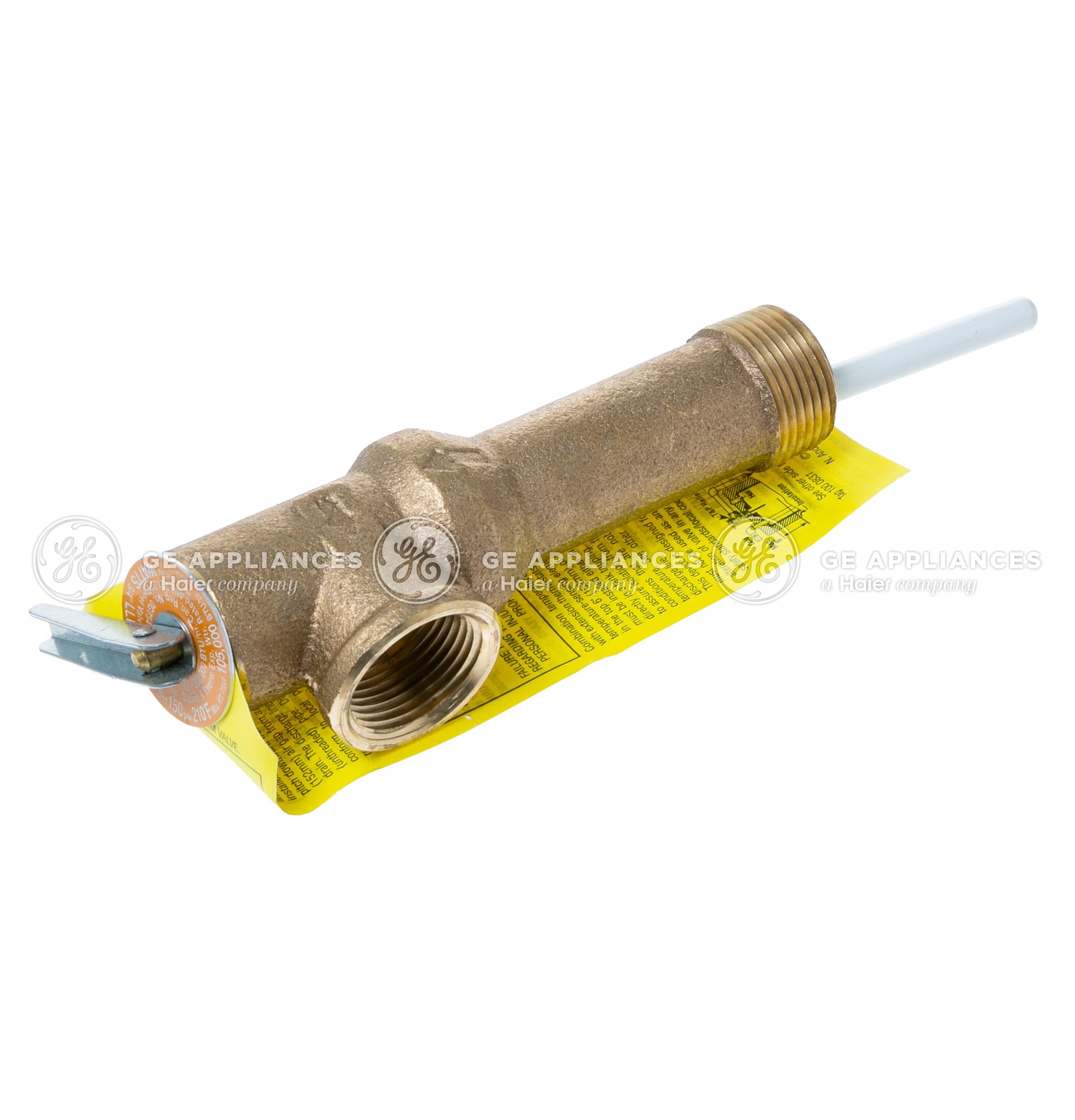 GE_WS06X21923_Image