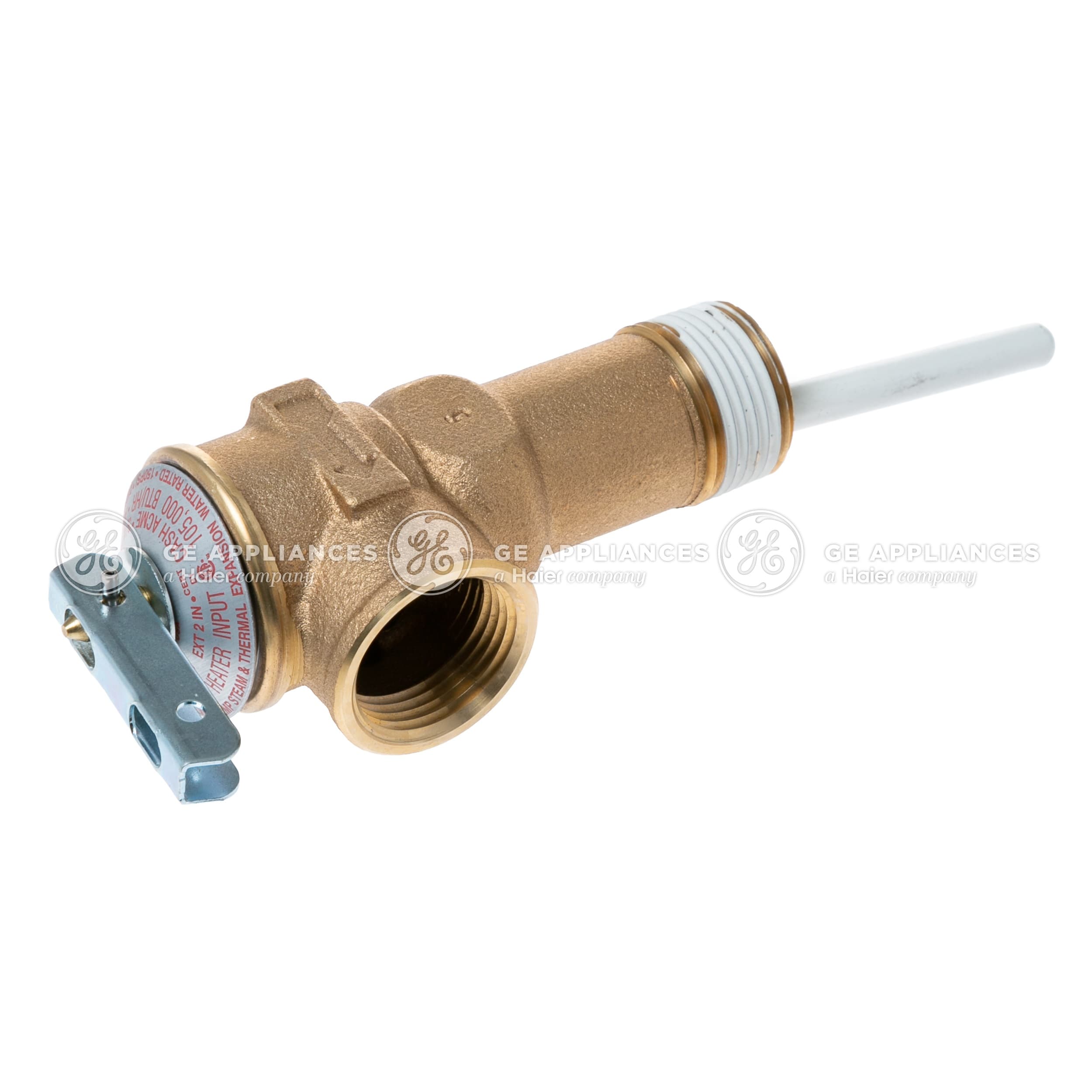 GE_WS06X22864_Image